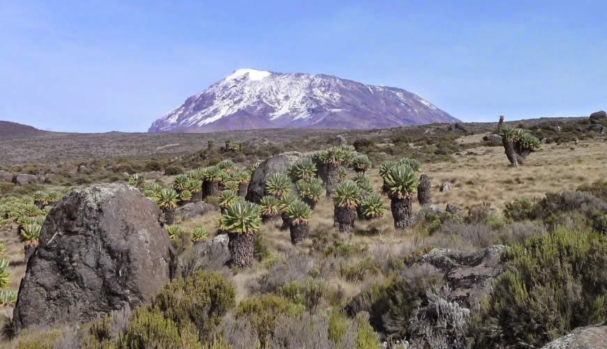 kilimanjaro-marangu-1
