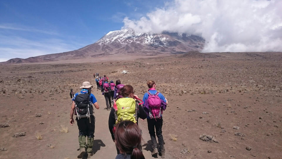 trekking-on-the-saddle-of-mt-kilimanjaro_t20_nmOnnR